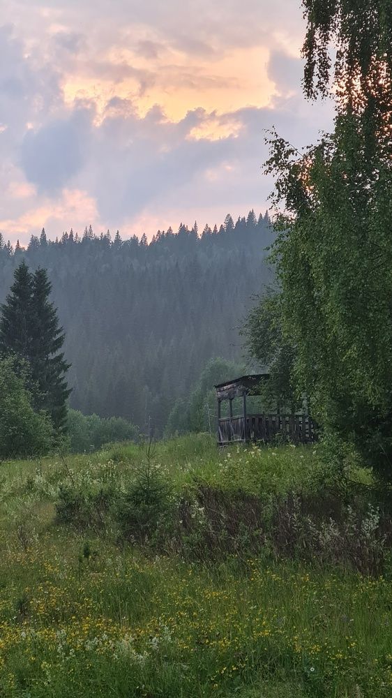 Photograph by Максим Ковригин