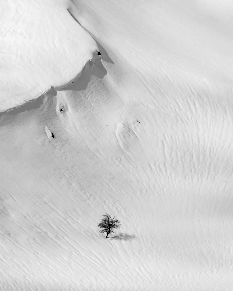 Photograph by mohammad Alipour