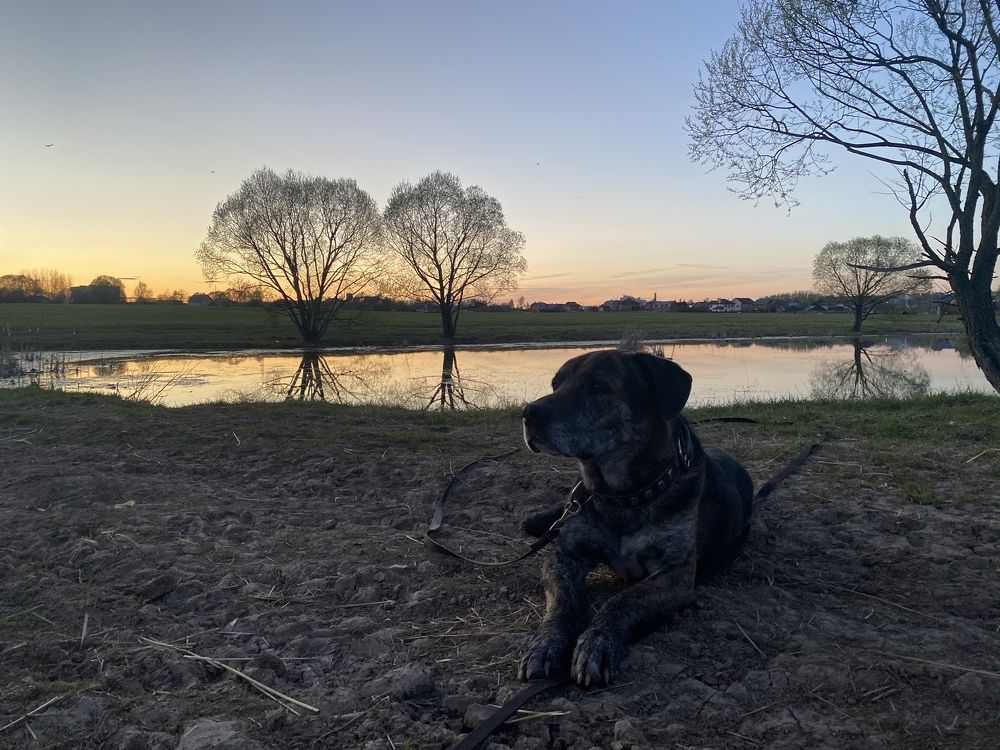 Photograph by Мария