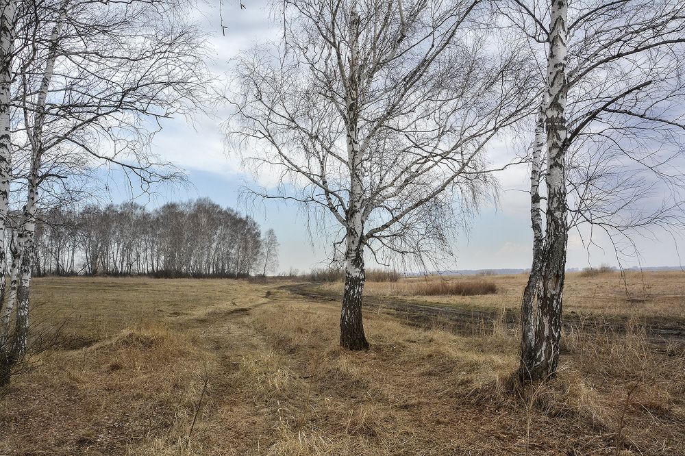 Photograph by Эдуард Голиков