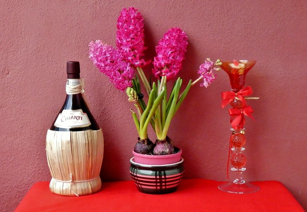 Photograph by backareva irina