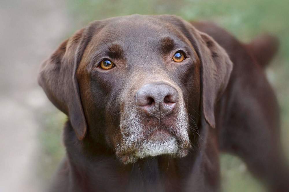 Photograph by Соколова Елена