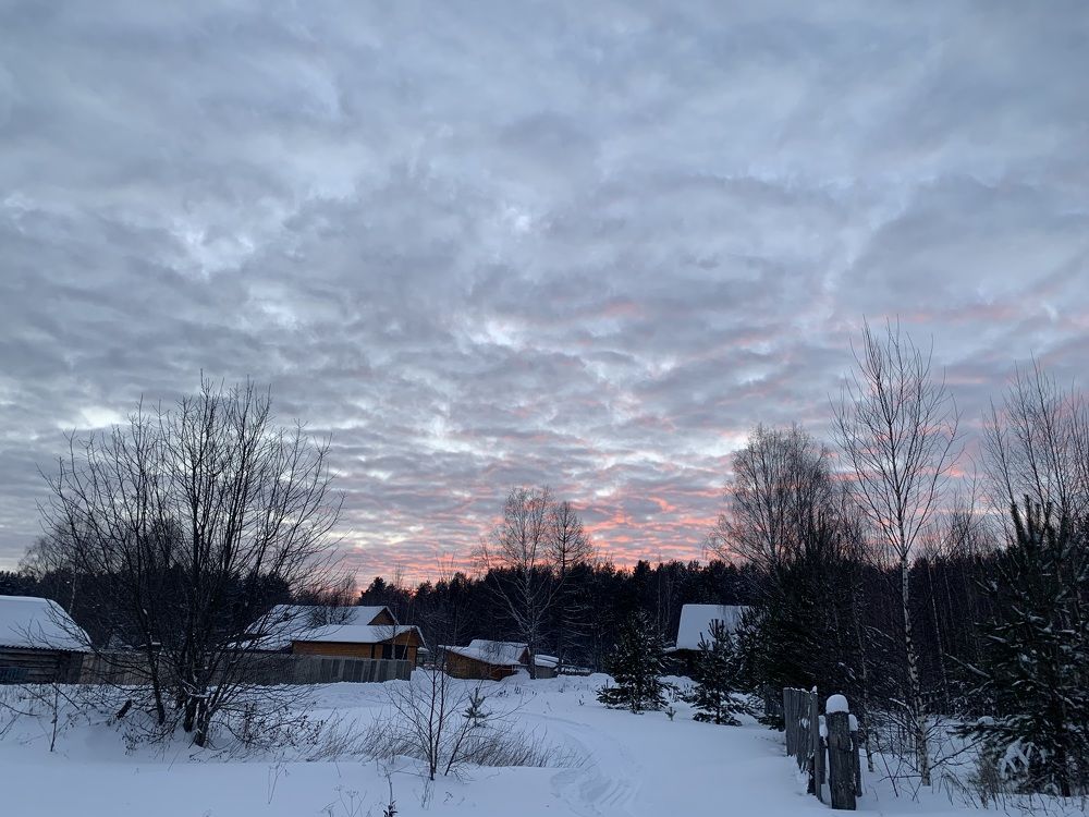 Photograph by Елена Коптева