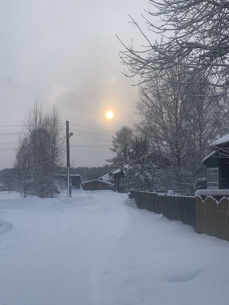 Photograph by Елена Коптева