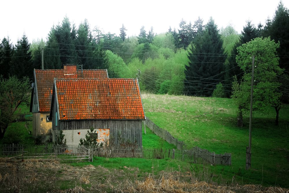 Photograph by Andrei Iliushenko