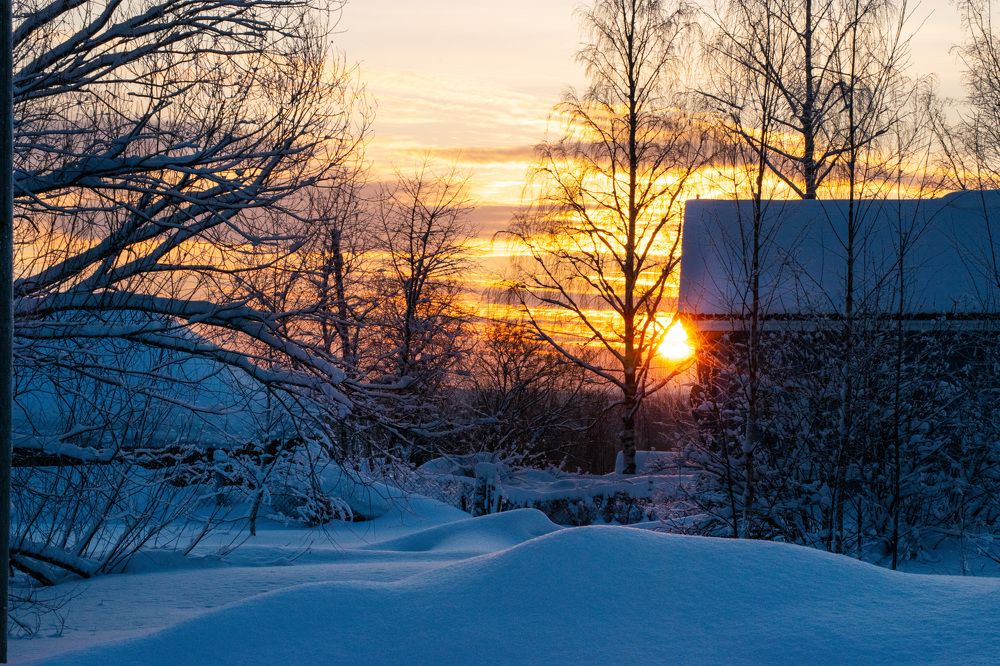 Photograph by Наталья Зверева