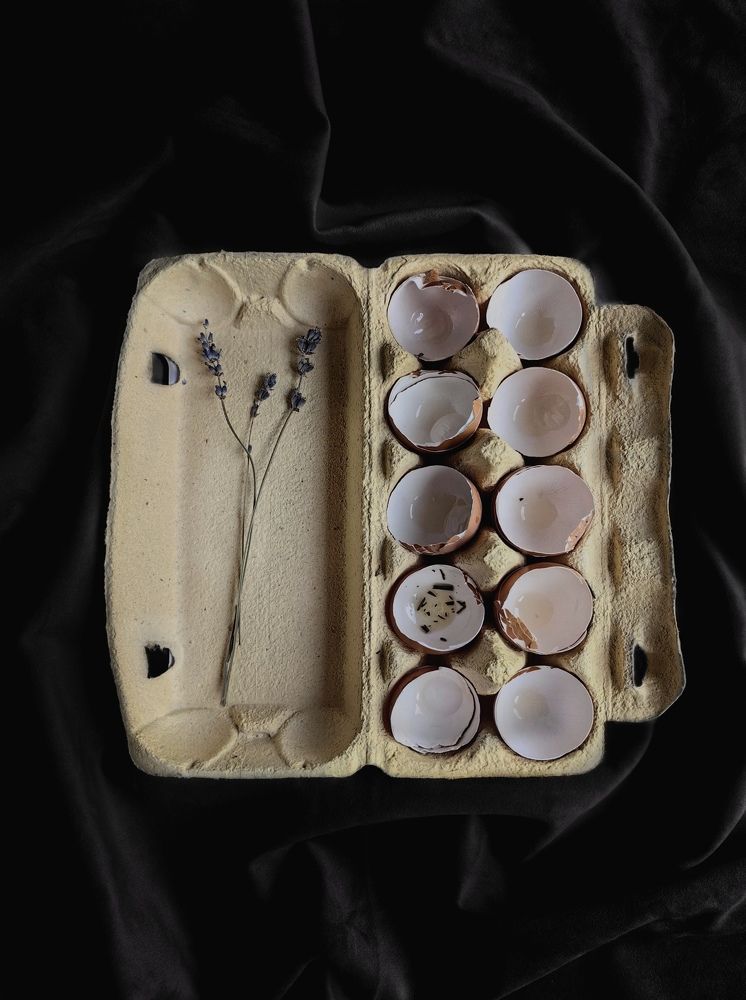 Фотография автора Елена Маслова