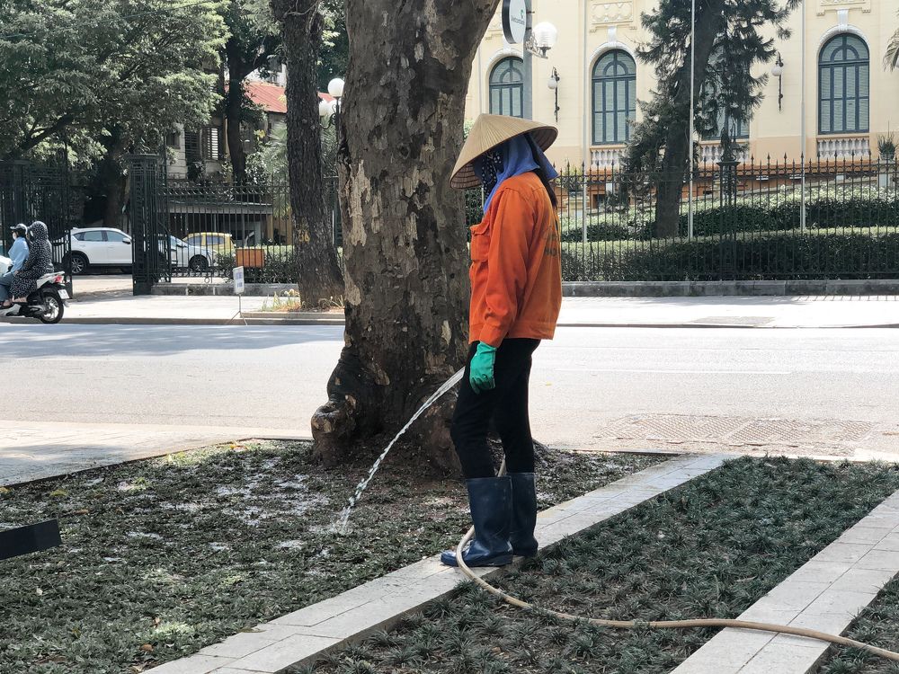 Photograph by Tuan Anh Tran