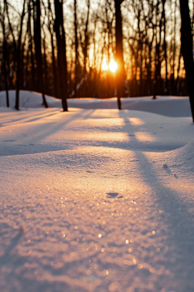 Photograph by Ангелина Ларина