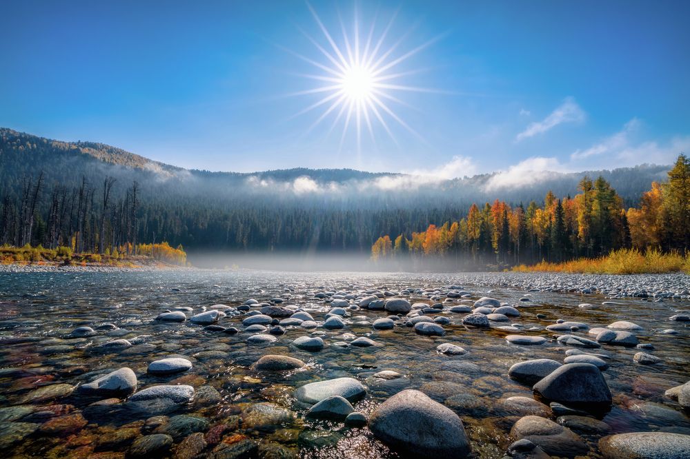 Утренний туман на таежной реке