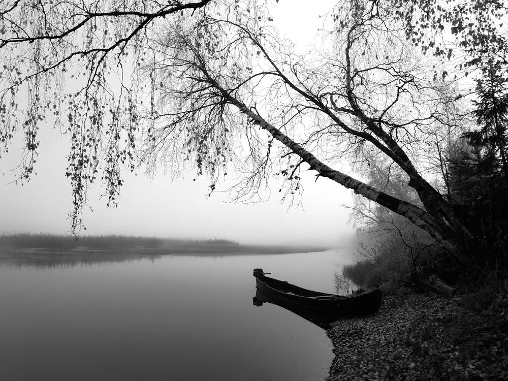 Photograph by Ксения