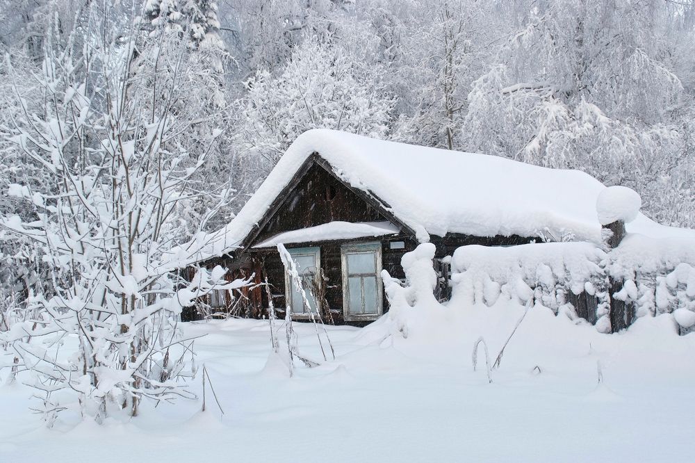 Photograph by Коваль Виктор