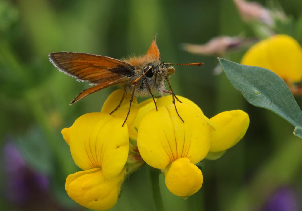 Photograph by Виктория Писаренко