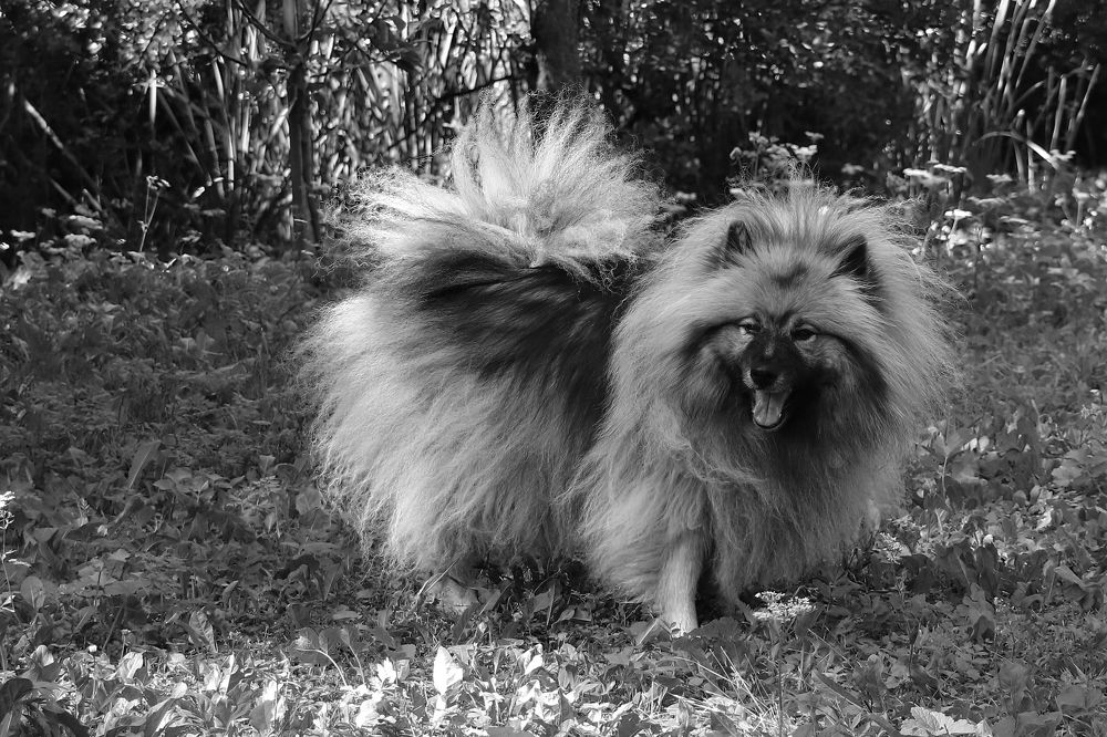 Photograph by Dagmar Vopolková