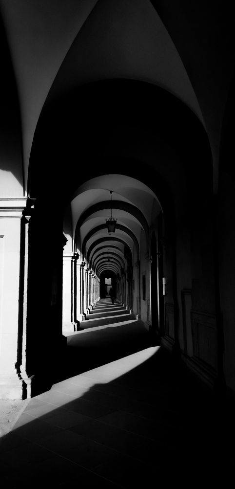 Photograph by Анастасия Агенидзе