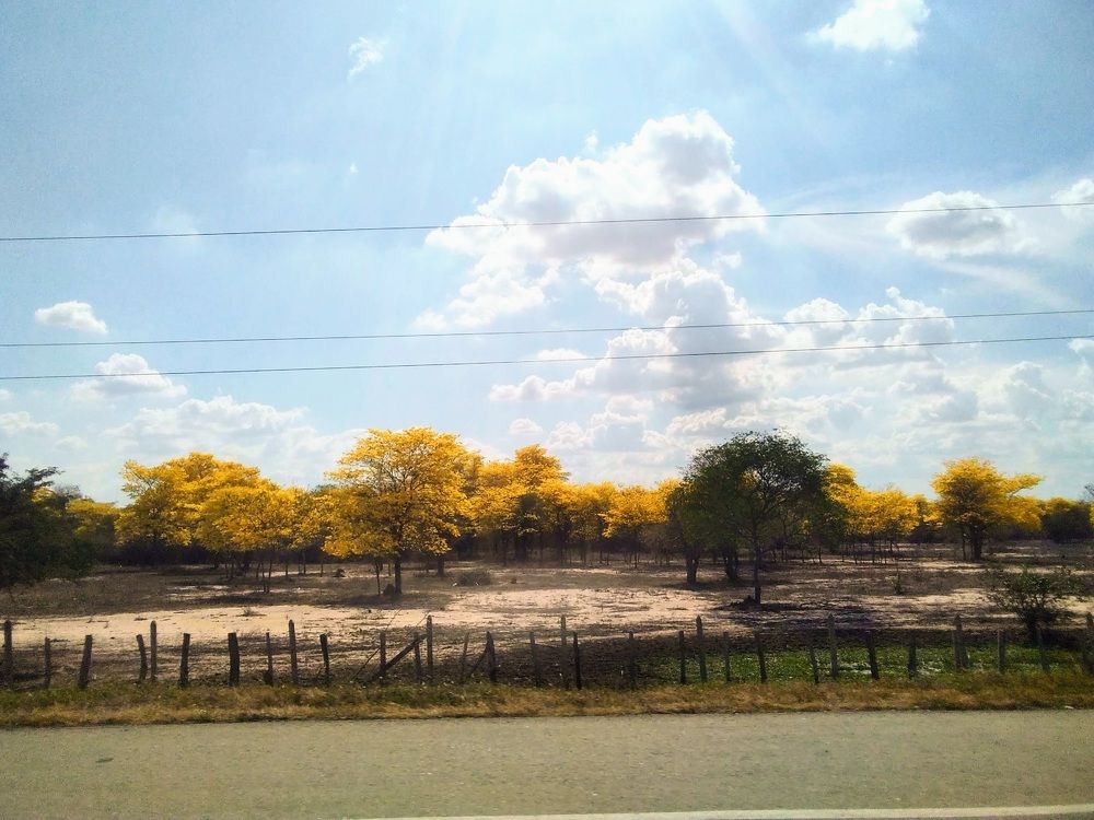 Photograph by Roxana Torres nova