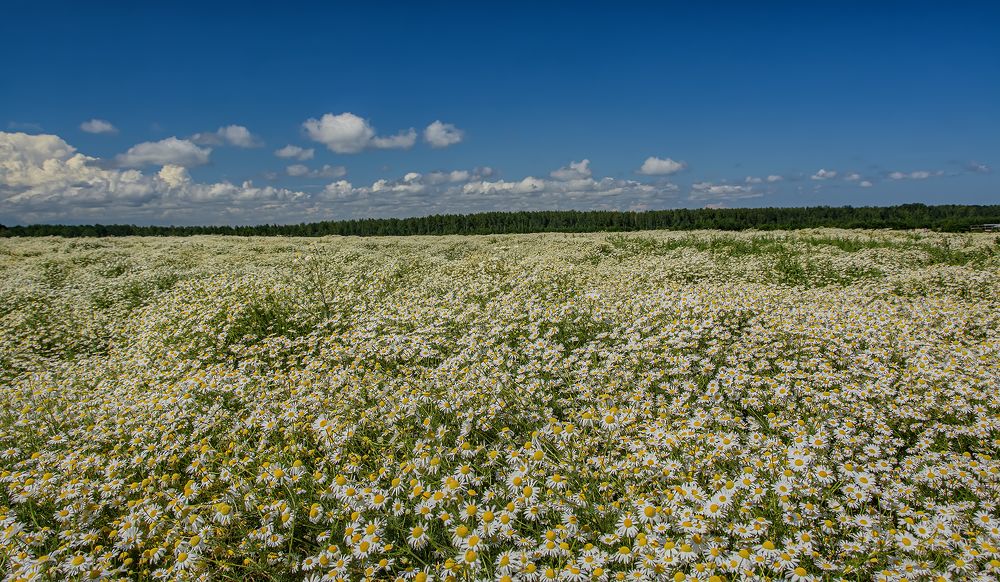 Photograph by Зоя Куренкова