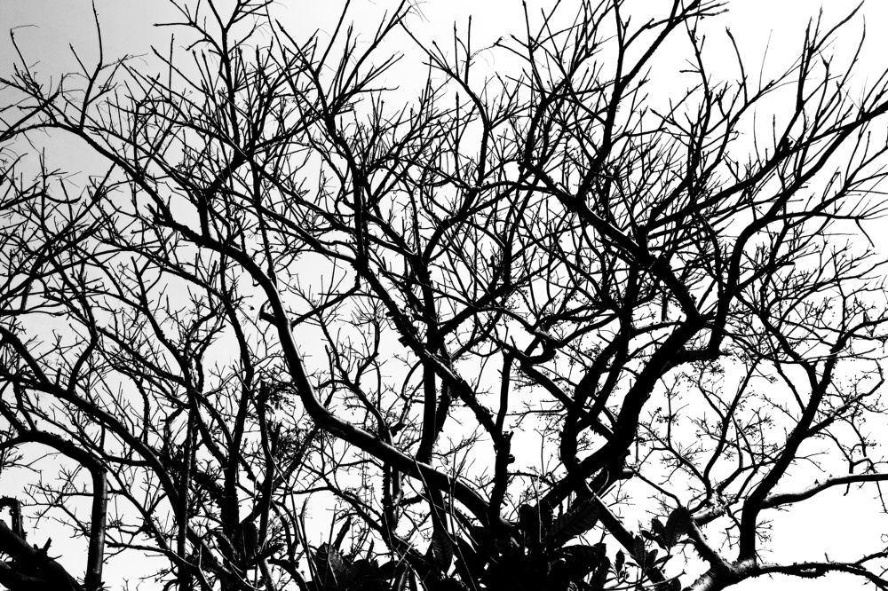 Photograph by Ulises Pintos