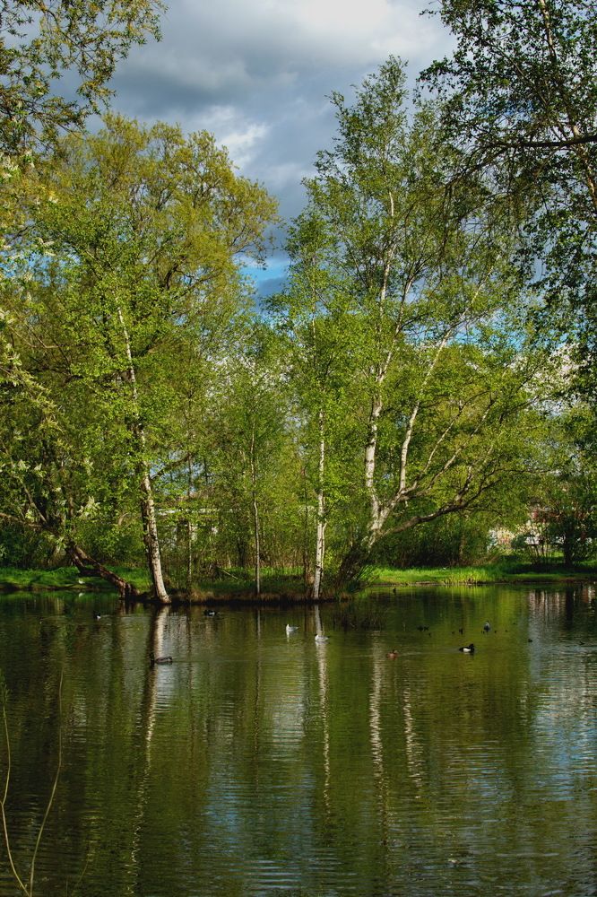 Photograph by Александр