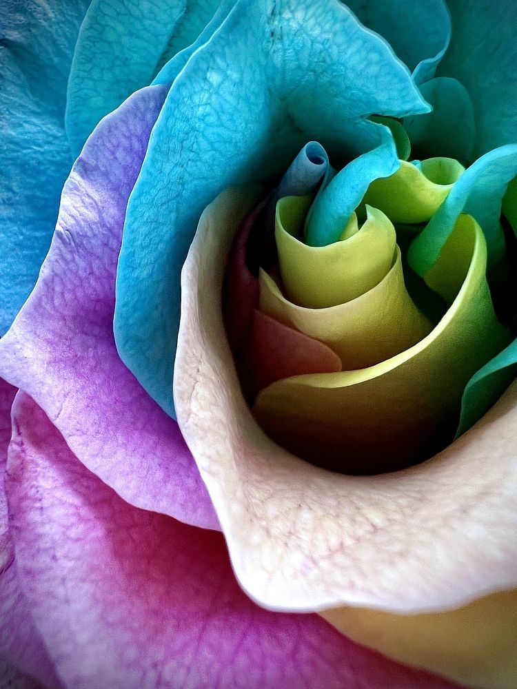 Photograph by Елена Громова