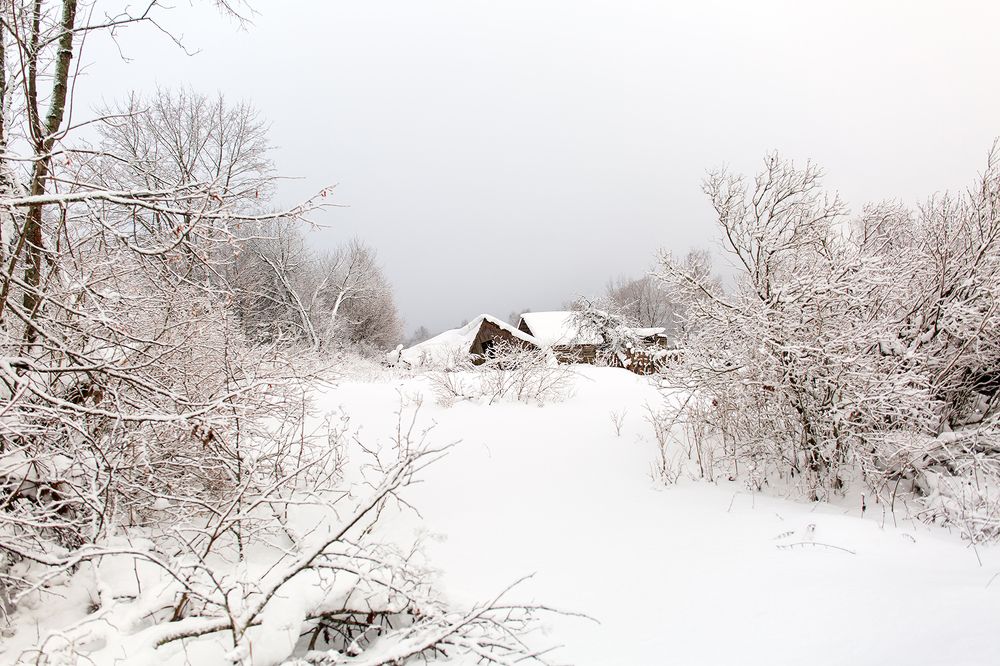 Photograph by Екатерина