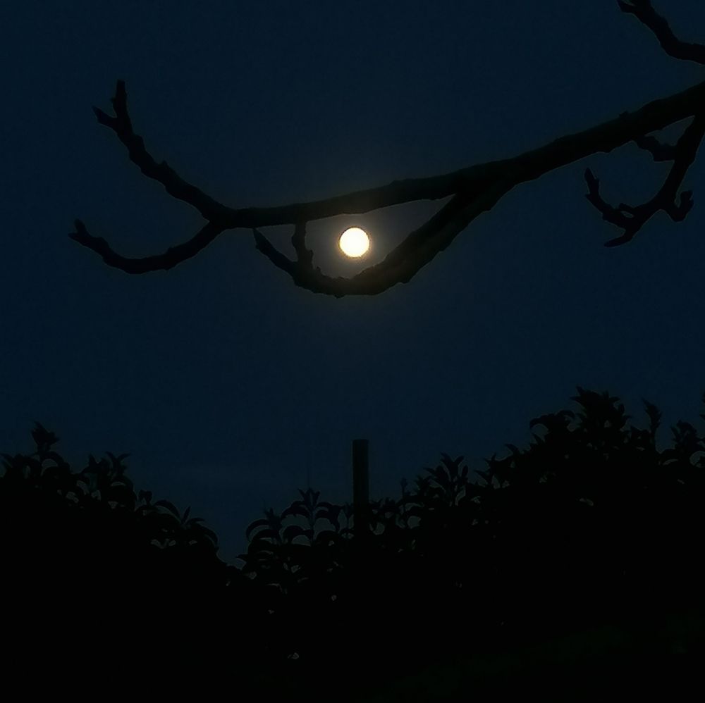 Photograph by Maria Chami