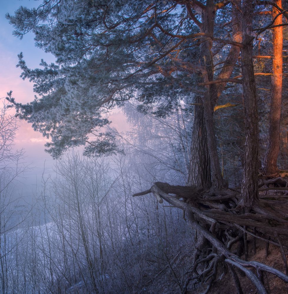 Фотография автора Andrew Kuzmin