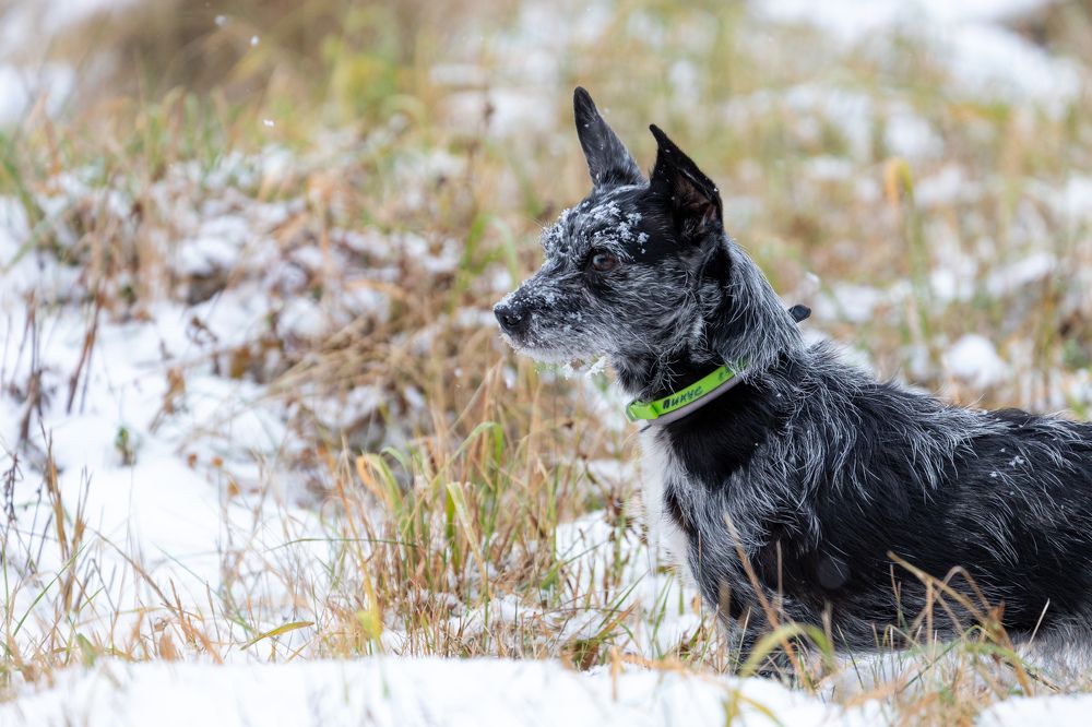 Photograph by Илья Сторожко