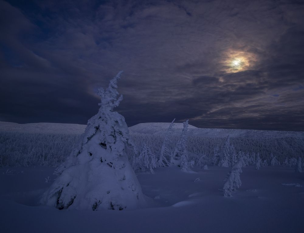 Photograph by Владислав Костылев