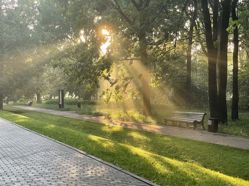 Photograph by Ирина Соловейченко