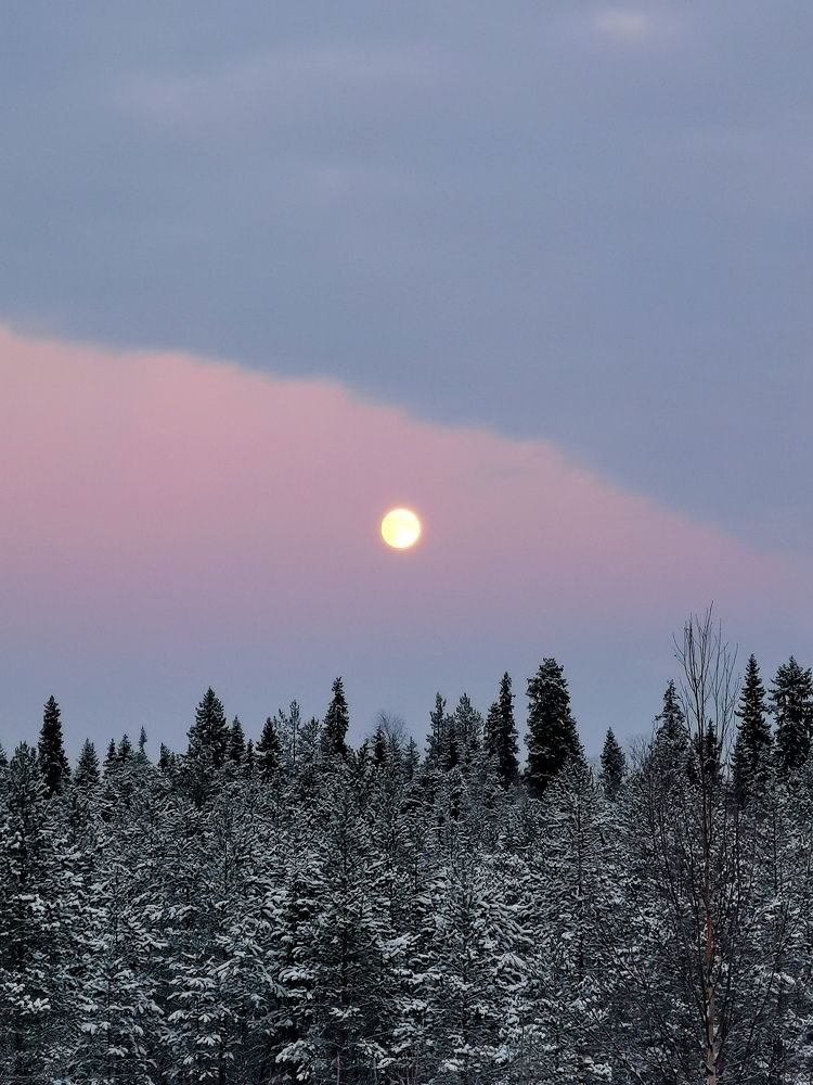 Photograph by Александр