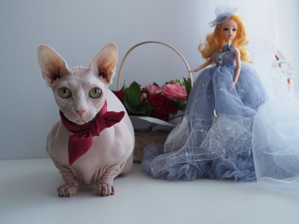 Photograph by Светлана Петренко