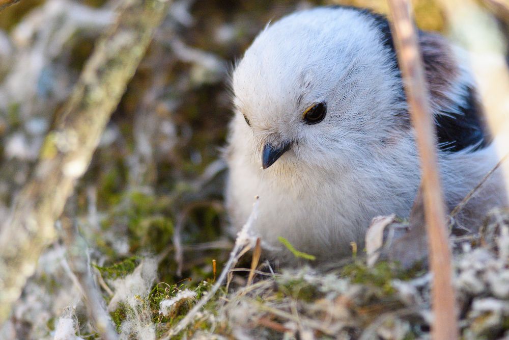 Фотография автора Александр Добыш