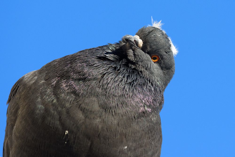 Фотография автора Александр Добыш