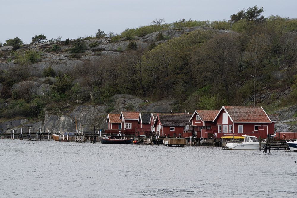 Фотография автора Ruslan Badykov