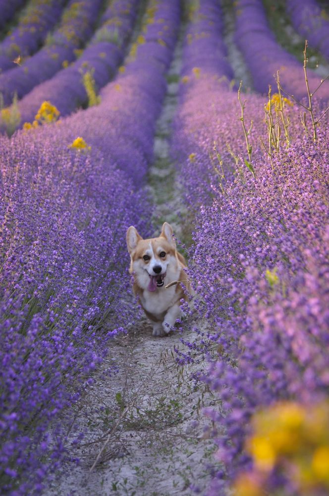 Photograph by Ирина