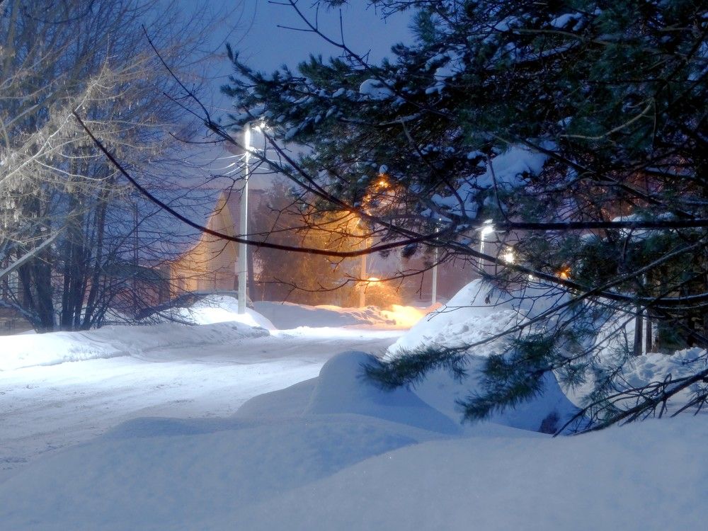 Photograph by Владимир Сивохин