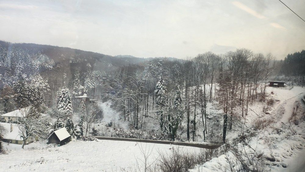 Photo #10308309