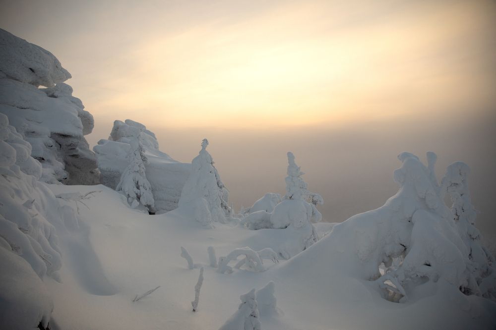 Photograph by Татьяна Дубовицкая