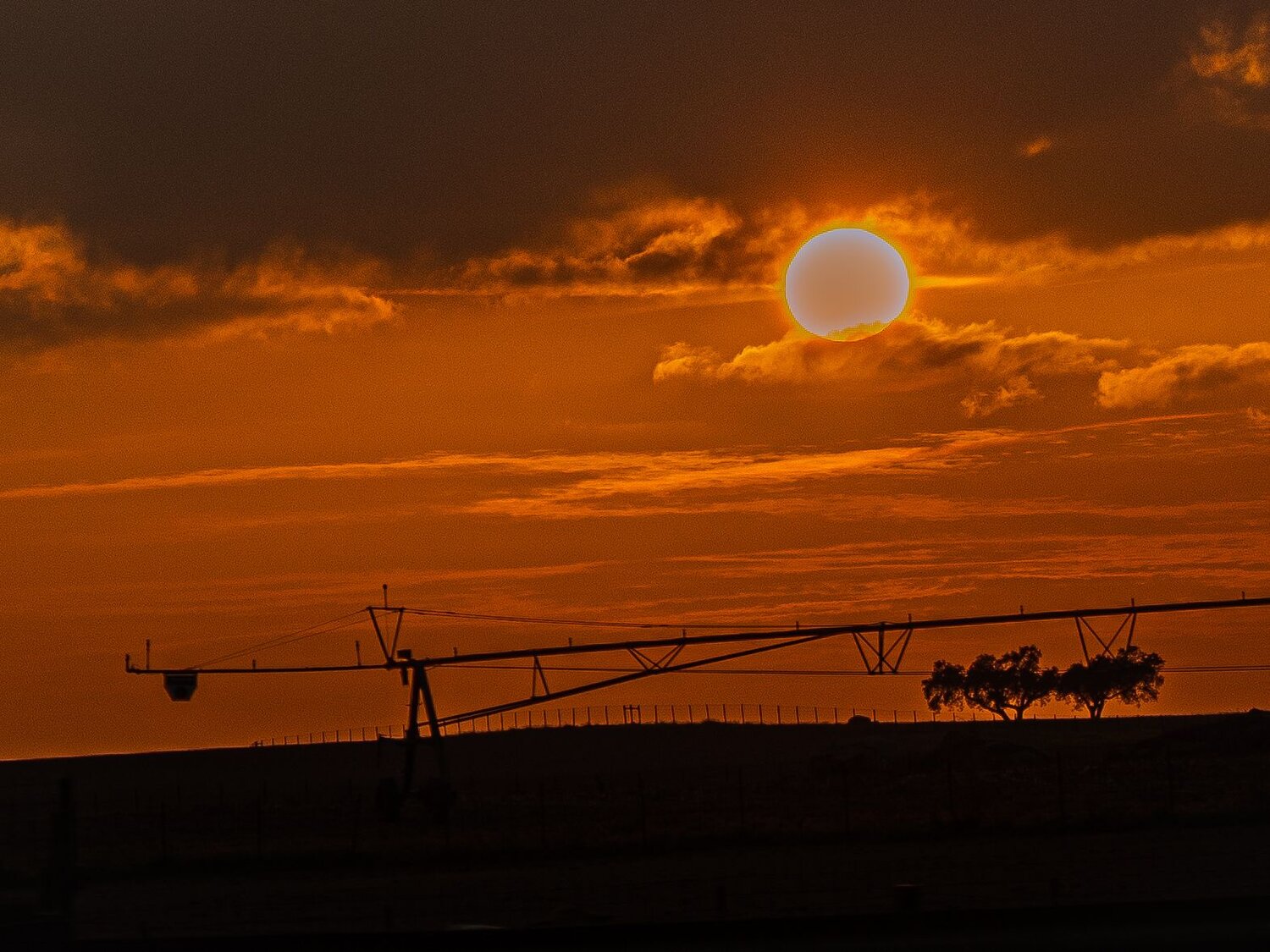 Photo #10308387