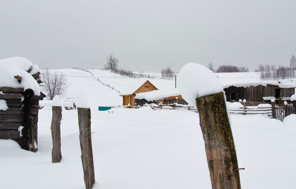 Photo #10308404