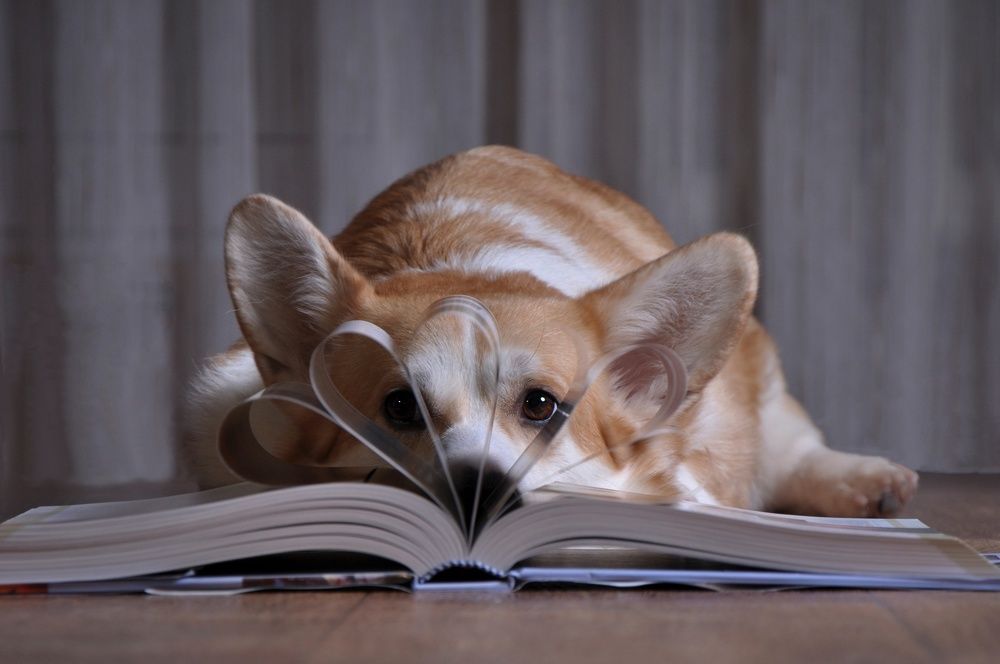 Photograph by Ирина