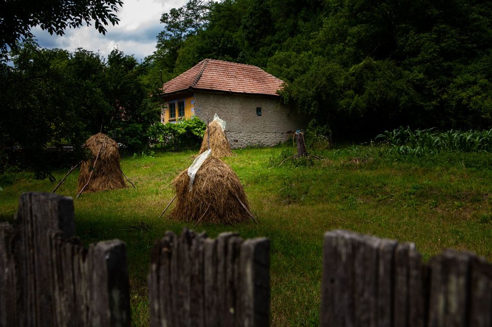 Photograph by Enescu Mihaela