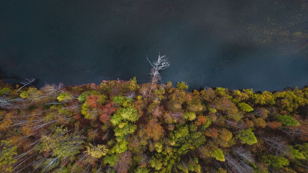 Фотография автора Эдуард Галеев