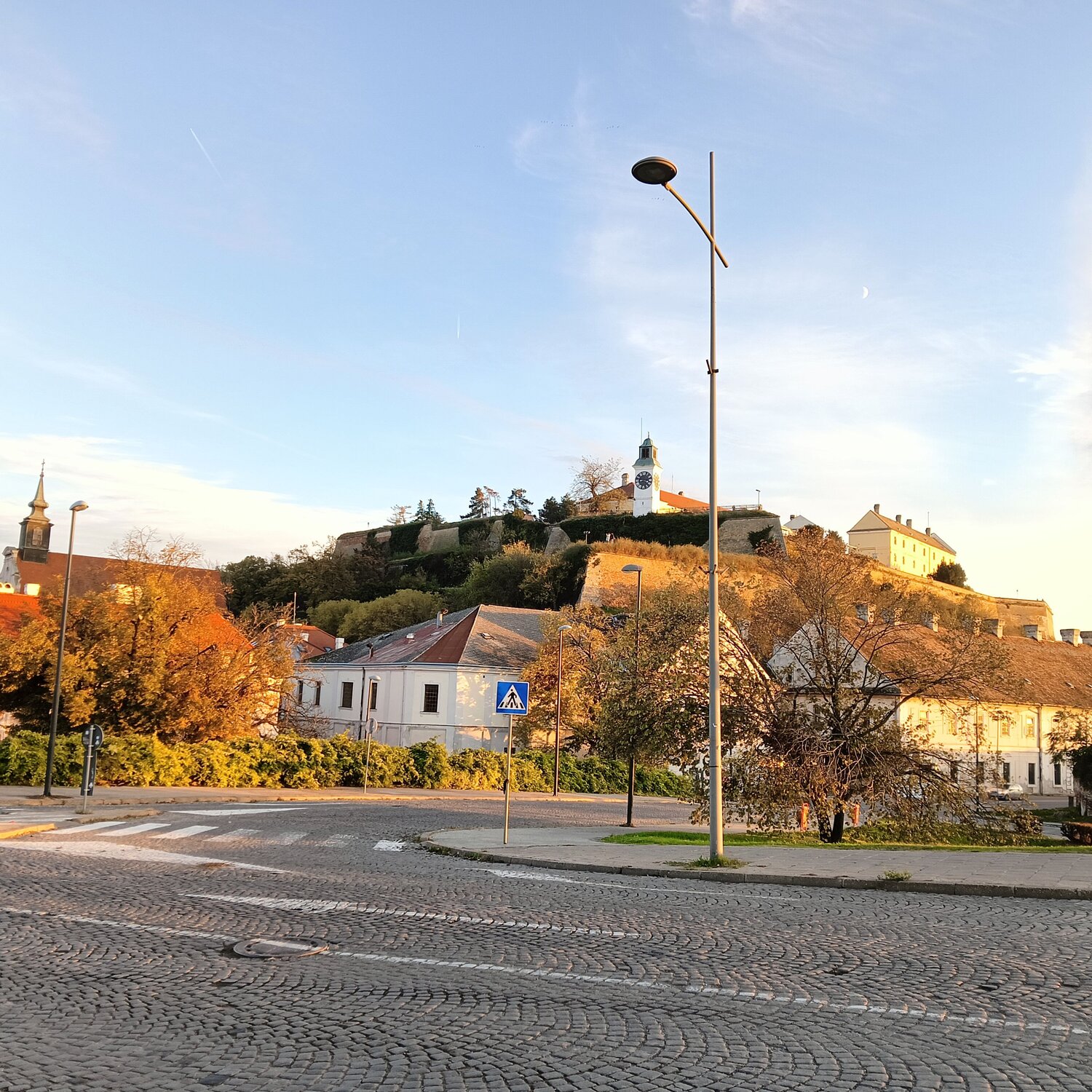 Photo #10308564