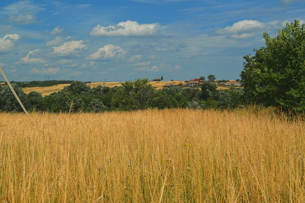 Photograph by Елена Чекменева