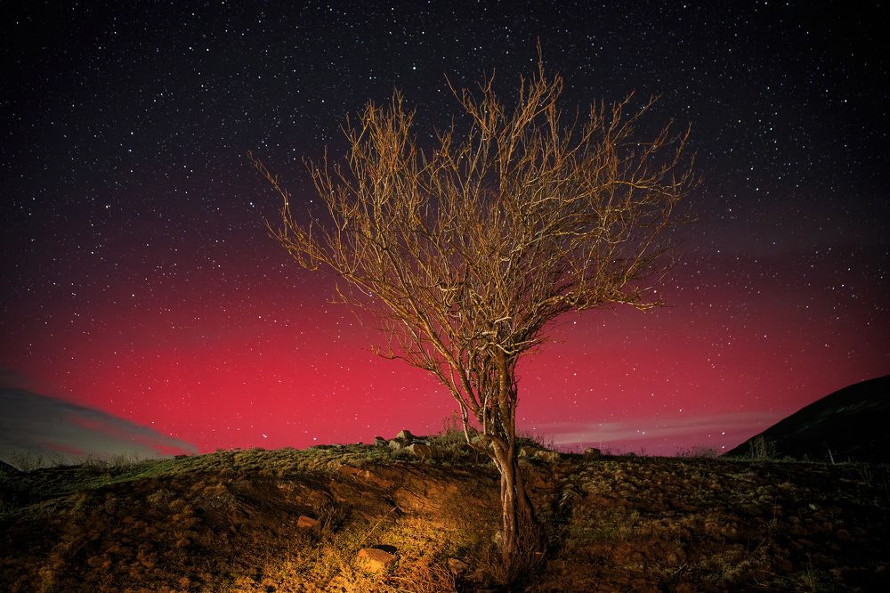 Photograph by Алина Паскеева