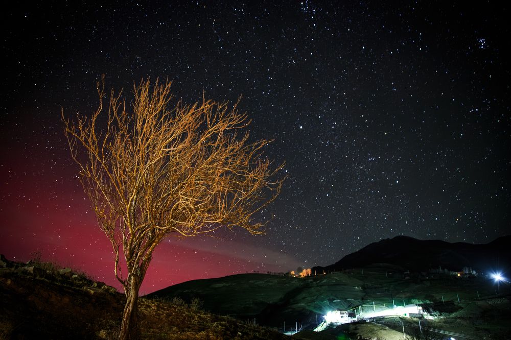 Photograph by Алина Паскеева