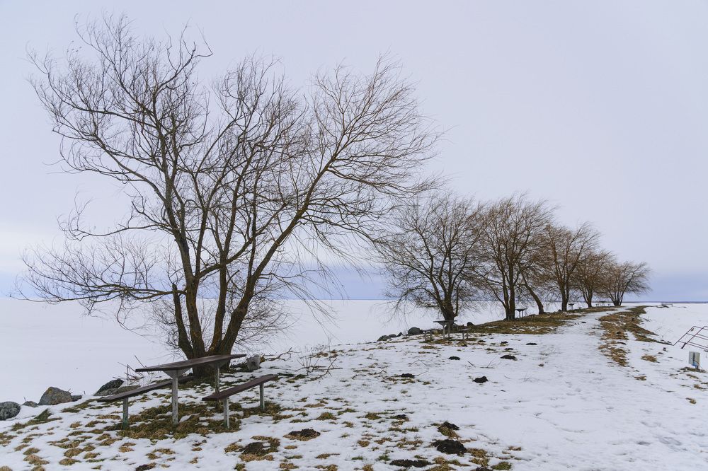 Photograph by Лилия Кондратьева