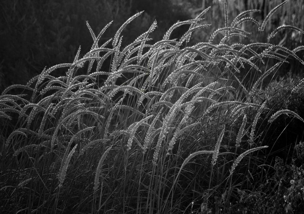 Photograph by Дерезюк Юрий Александрович